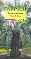 Бутия головчатая Мануэла 3 шт Бутия головчатая Мануэла 3 шт
