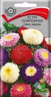Астра помпонная Смесь окрасок Астра помпонная Смесь окрасок