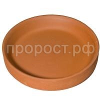 поддон77 поддон77