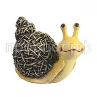 улитка солом