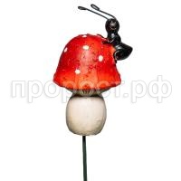 муравей на грибе