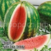 Арбуз Холодок 10 г Арбуз Холодок 10 г