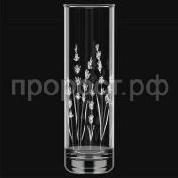 лаванда лаванда