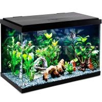 З179259_0 З179259_0