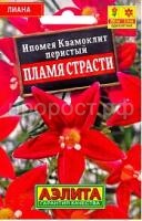 ипомея пламя