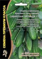 ogurec-sibirskaya-girlyanda-uralskij-dachnik ogurec-sibirskaya-girlyanda-uralskij-dachnik