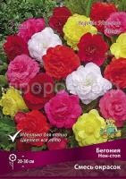 begonia_non_stop_smes_okrasok_kaper