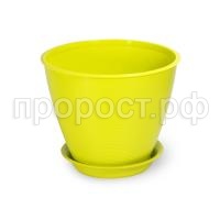 Мальта-фисташка