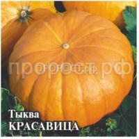 Рисунок22 Рисунок22