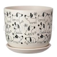 Собаки белый бук