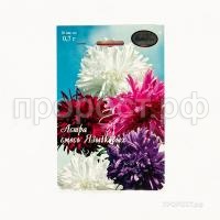 Астра смесь Страусово перо Павлиний хвост 200,7 Каприс