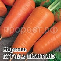 Морковь Курода Шантанэ 100г Морковь Курода Шантанэ 100г