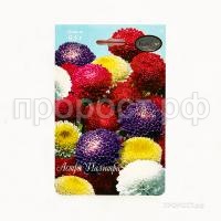 Астра смесь Помпонная Палитра 200,5 Каприс