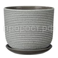 Лоза зелено-серый бук Лоза зелено-серый бук