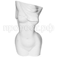 грация грация