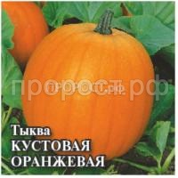 Рисунок27 Рисунок27