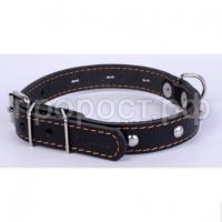 collar-oshejnik-s-ukrasheniyami-kozha collar-oshejnik-s-ukrasheniyami-kozha