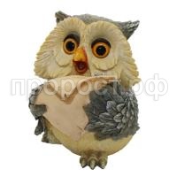 Сова читает Сова читает