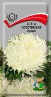 Астра коготковая Ориент Астра коготковая Ориент