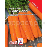 Морковь НИИОХ 336 10 г XXXL Морковь НИИОХ 336 10 г XXXL