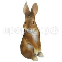 заяц полевой коричн