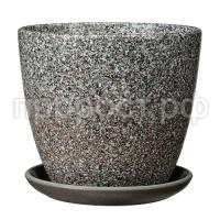 Сахара серый крокус Сахара серый крокус