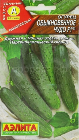 Аэлита Огурец Обыкновенное чудо F1 1