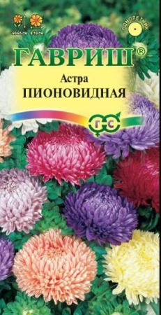 Астра Пионовидная смесь 0,3г