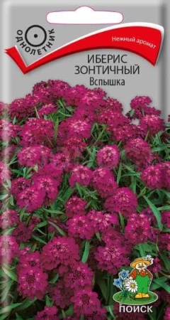 Иберис зонтичный Вспышка 0,3г 