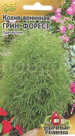 Кохия Грин Форест 0,3г веничная