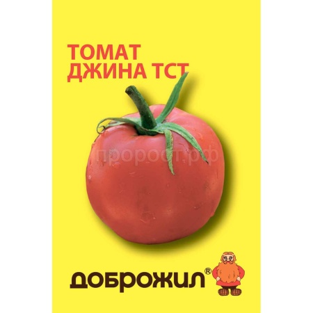 Томат Джина ТСТ 0,1г