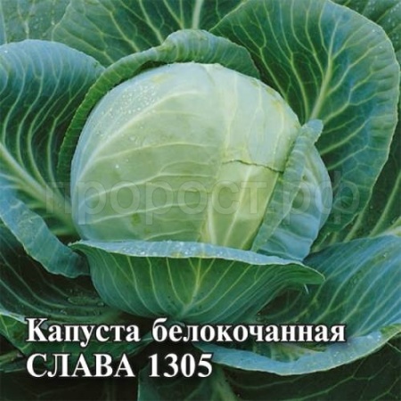 Капуста белокочанная Слава 1305 10 г