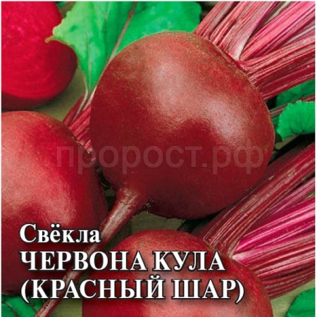 Свекла Червона Кула (Красный шар) 25 г
