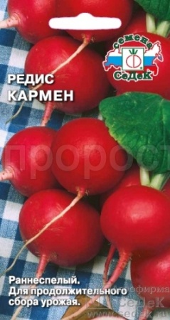 Редис Кармен 