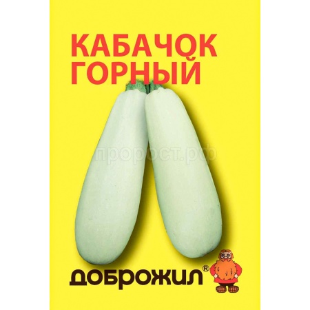 Кабачок Горный 2г