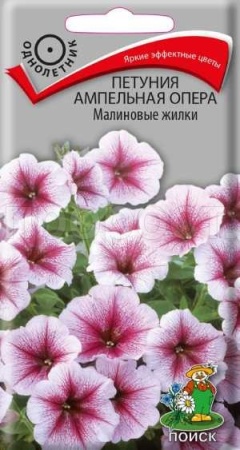 Петуния ампельная Опера Малиновые жилки 5шт