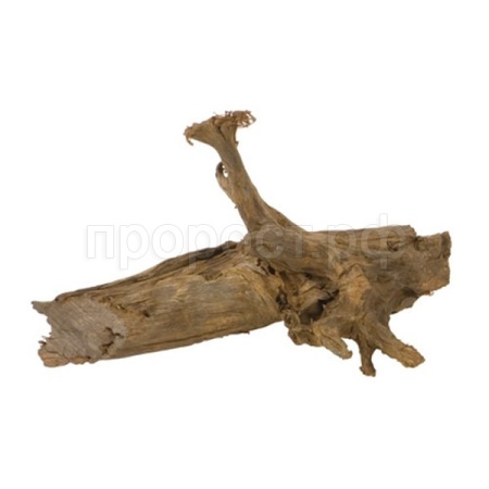 Натуральная коряга Mangro M/200292