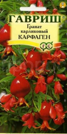 Гранат Карфаген карл. 5шт 