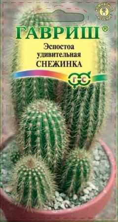 Эспостоа шерстистая Снежинка 4шт