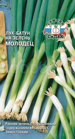 Лук батун Молодец 1г