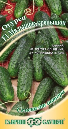 Огурец Малышок-крепышок F1 10 шт