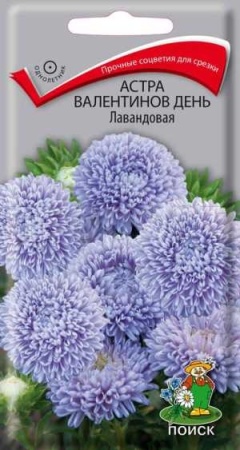 Астра Валентинов день Лавандовая 0,2гр 
