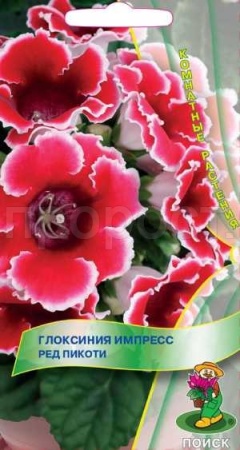 Глоксиния Импресс Ред Пикоти 5шт