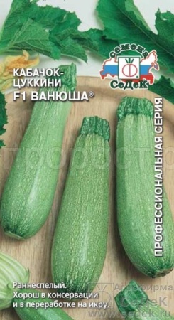 Кабачок цуккини Ванюша F1 2г