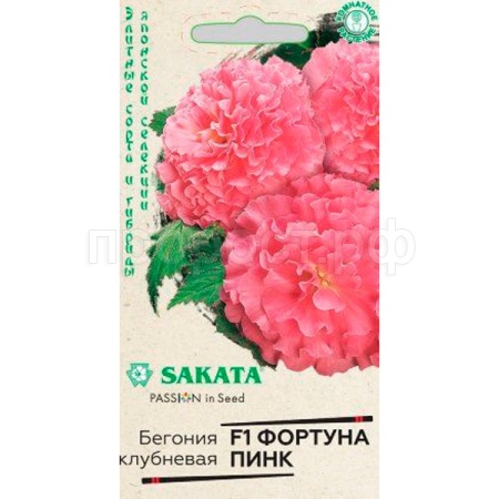 Бегония Фортуна Пинк F1 клубневая 4 шт