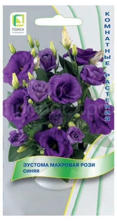 Эустома махровая Рози Синяя 5шт