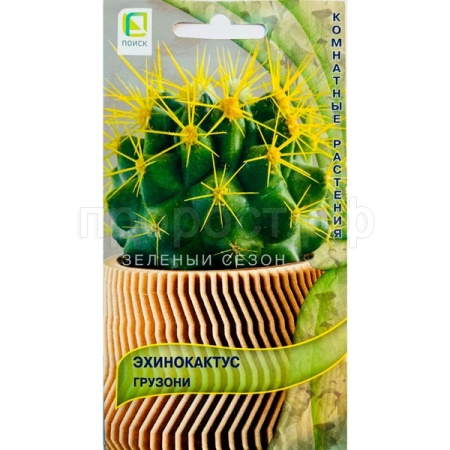 Поиск Эхинокактус Грузони 10шт 