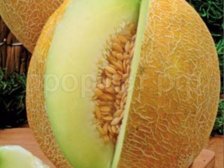 Дыня Южанка 25 г