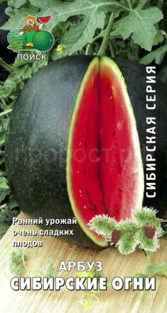 Арбуз Сибирские огни 15шт 