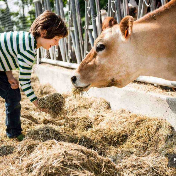 ЗЦМ ПРОРОСТ 16% 25кг ЗЦМ ПРОРОСТ 16% 25кг